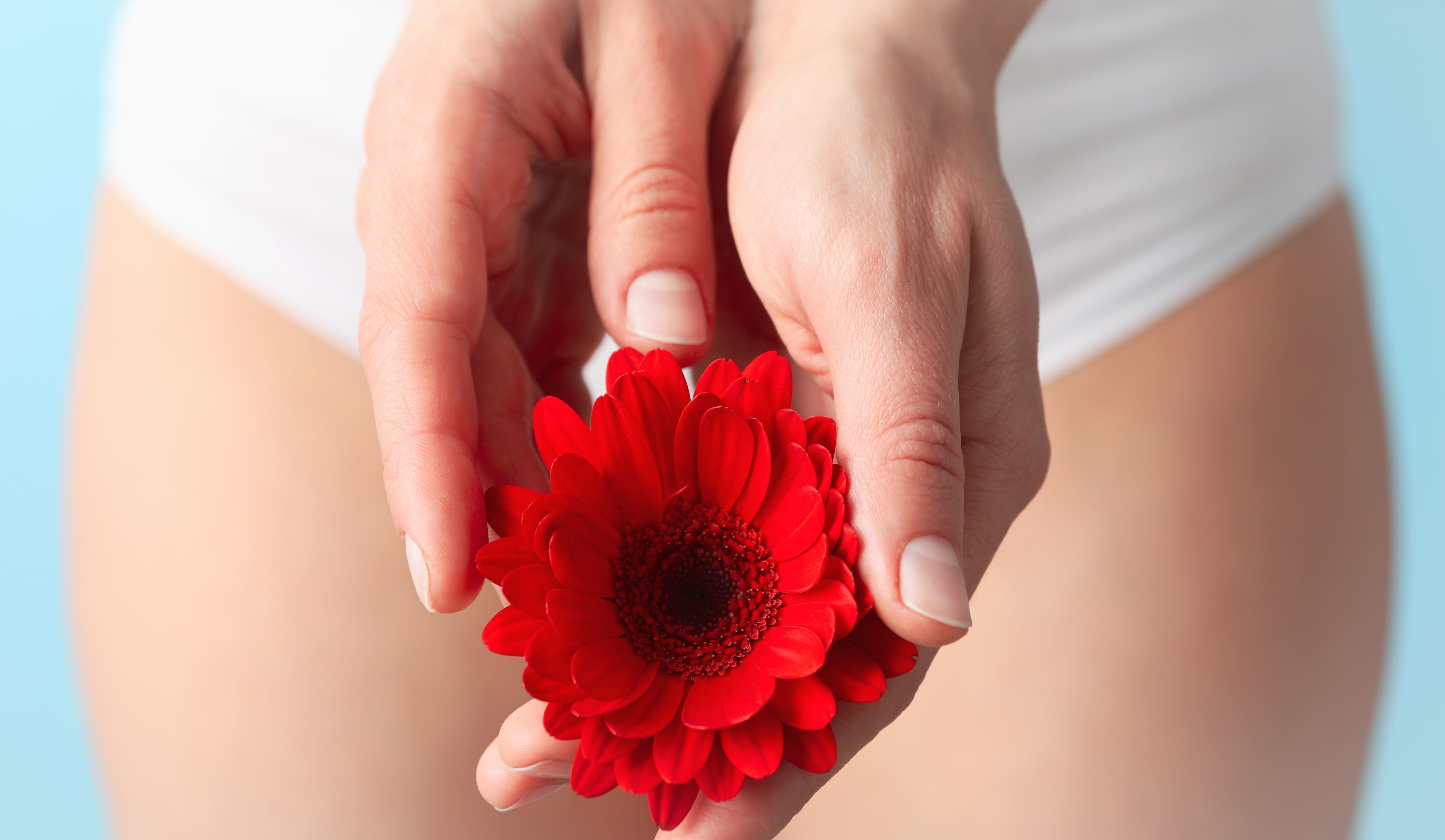 Scheidenpilz: Ursache, Symptome und Behandlung