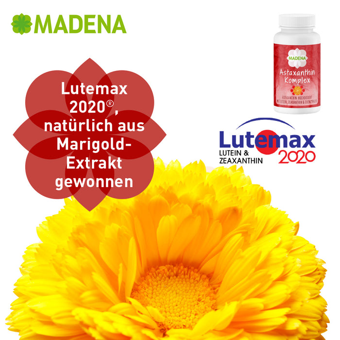 Lutein & Zeaxanthin: Astaxanthin-Komplex 3-Monats-Pack