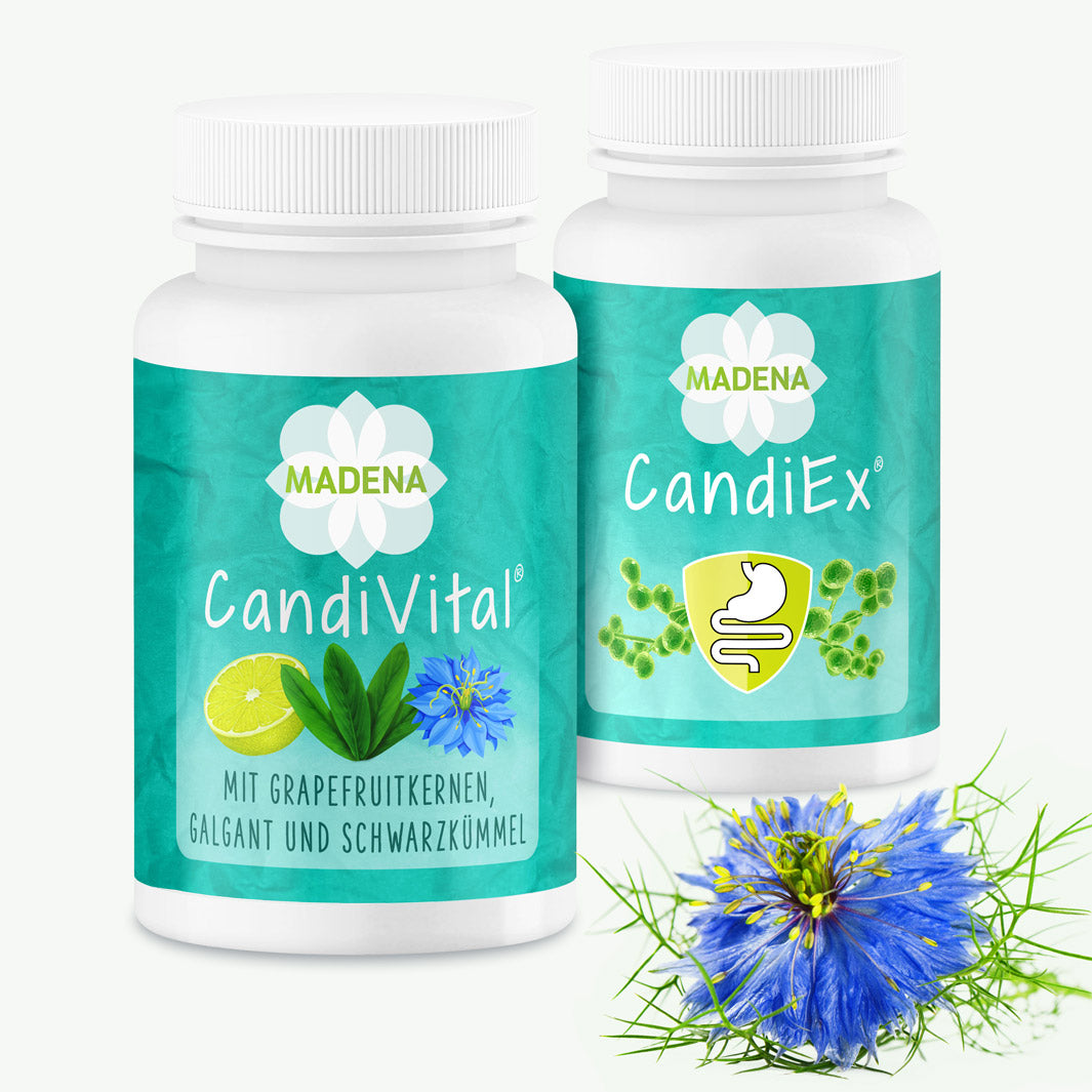 candida albicans darm therapie