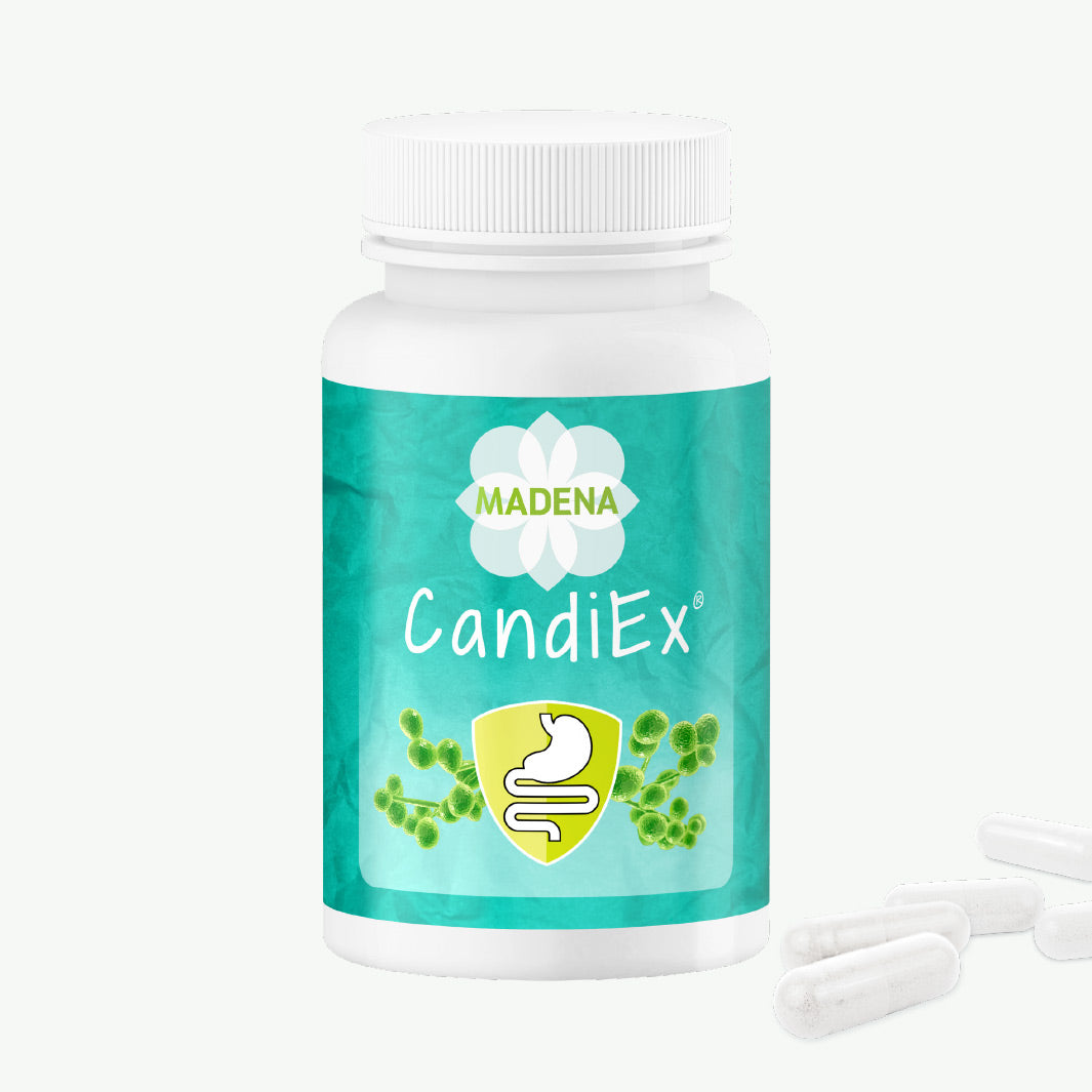 candida albicans therapie