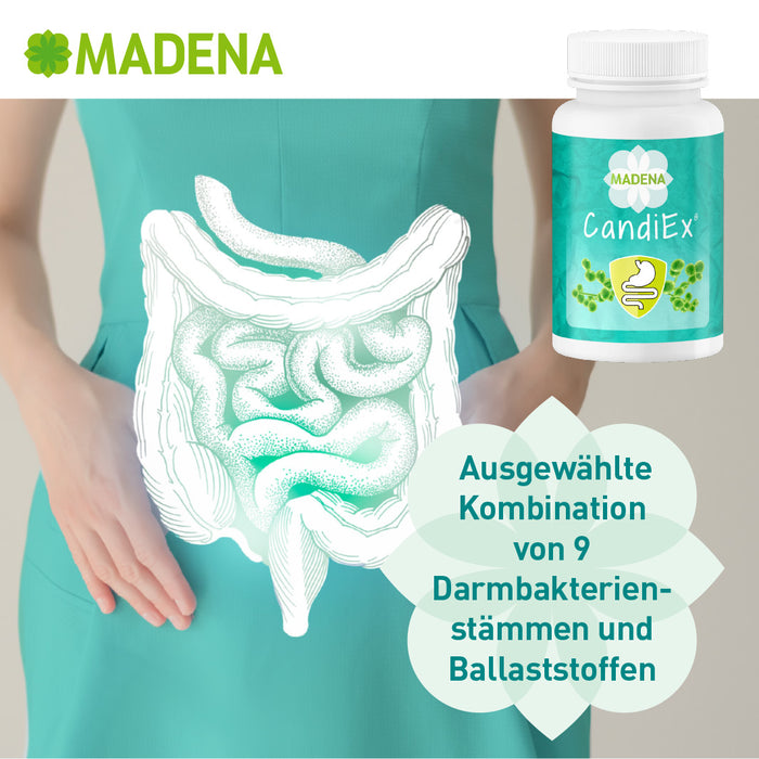 candida albicans therapie