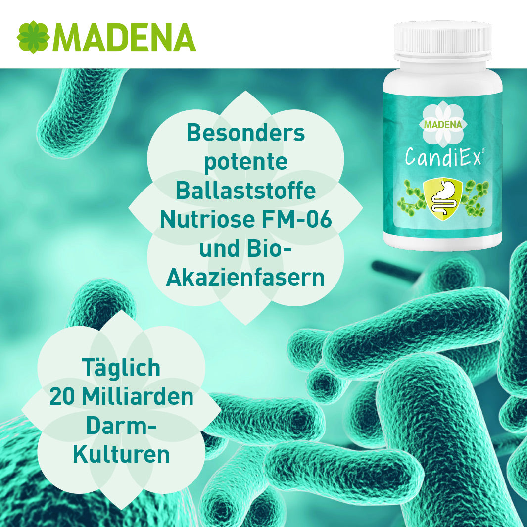 candida albicans kapseln