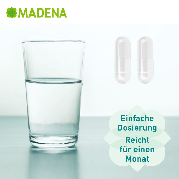 Darmflorakomplex CandiEx®