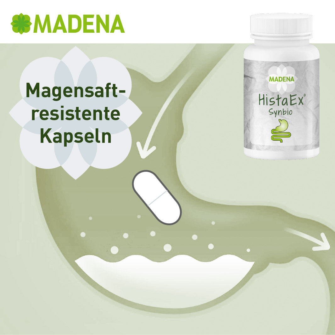 HistaEx® Synbio: Darmbakterien bei Histaminintoleranz