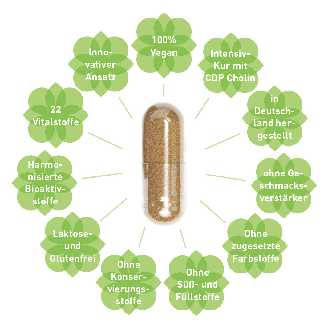 Leberkomplex* mit Cholin, Artischocke, Mariendistel, Pflanzen & B-Vitaminen