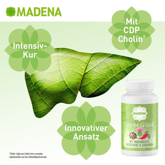 artischoke leber entgiften