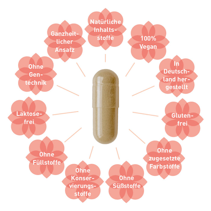 PMS-Kapseln bei Menstruationsbeschwerden und Zyklusstörungen*: PMSvital®