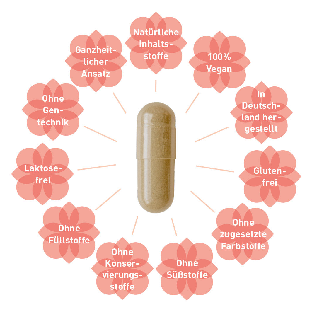 PMS-Kapseln bei Menstruationsbeschwerden und Zyklusstörungen*: PMSvital®