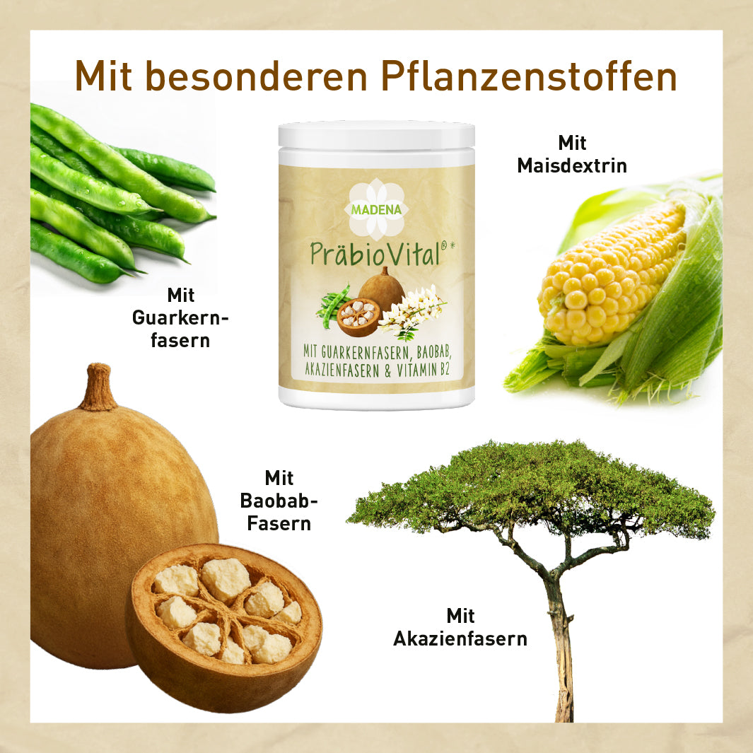 Ballaststoffpulver mit Guarkernmehl, Baobabpulver, Akazienfasern & Co.