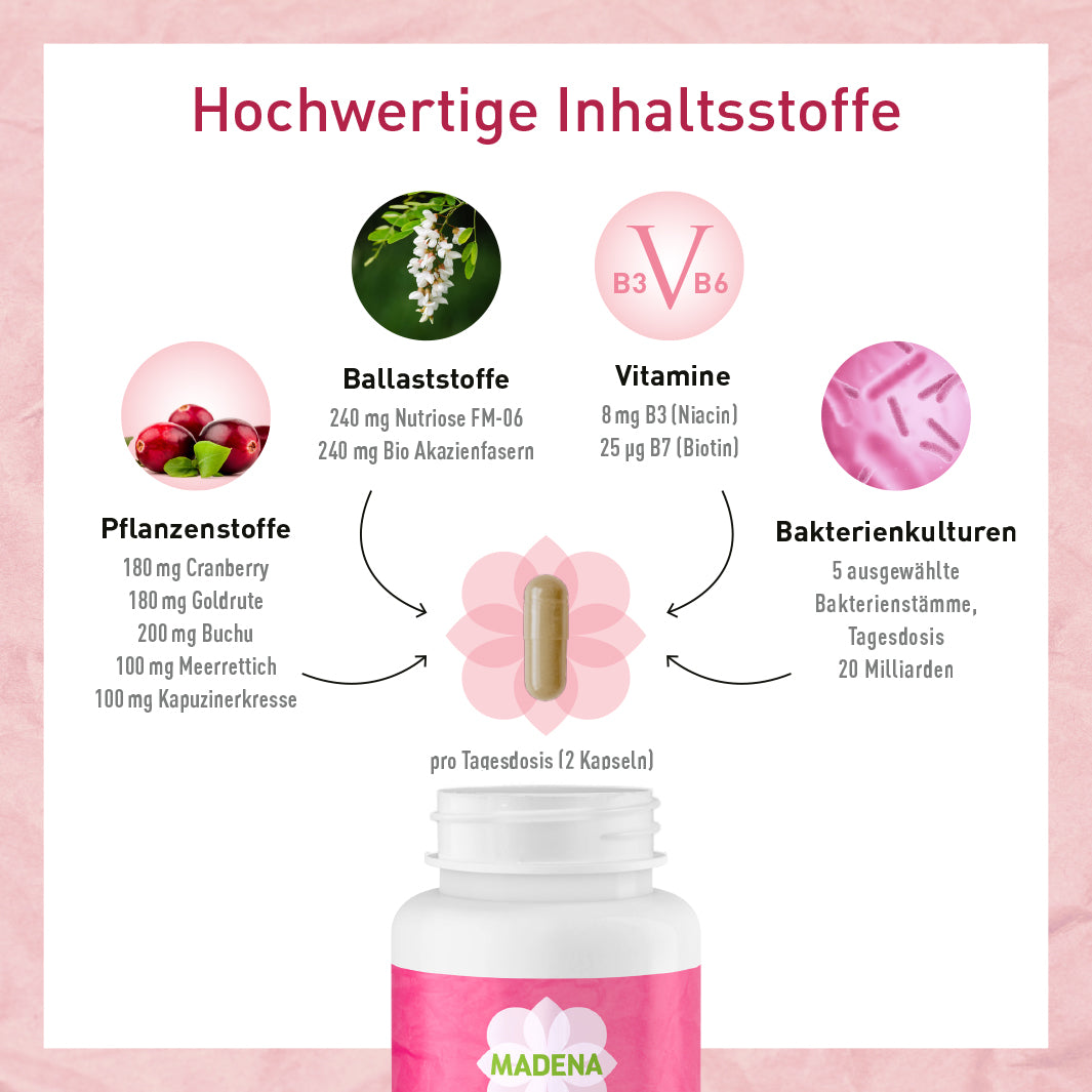 Milchsäurebakterien-Komplex: Hochdosiert für Intimflora & Harnwege*