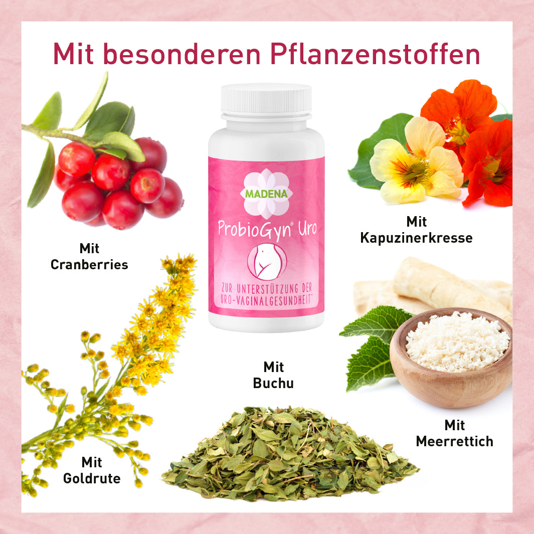 Milchsäurebakterien-Komplex: Hochdosiert für Intimflora & Harnwege*