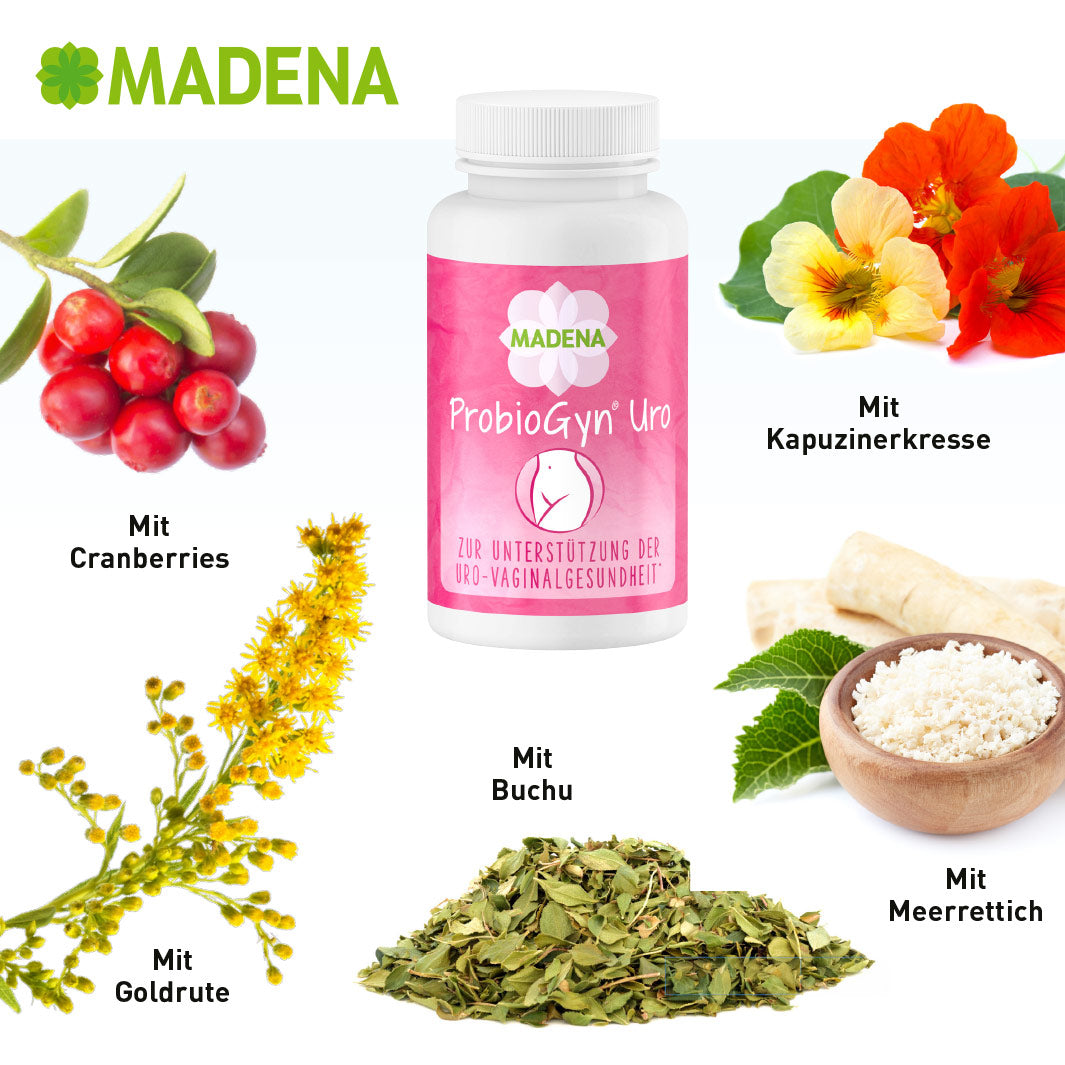 cranberry blasenentzündung