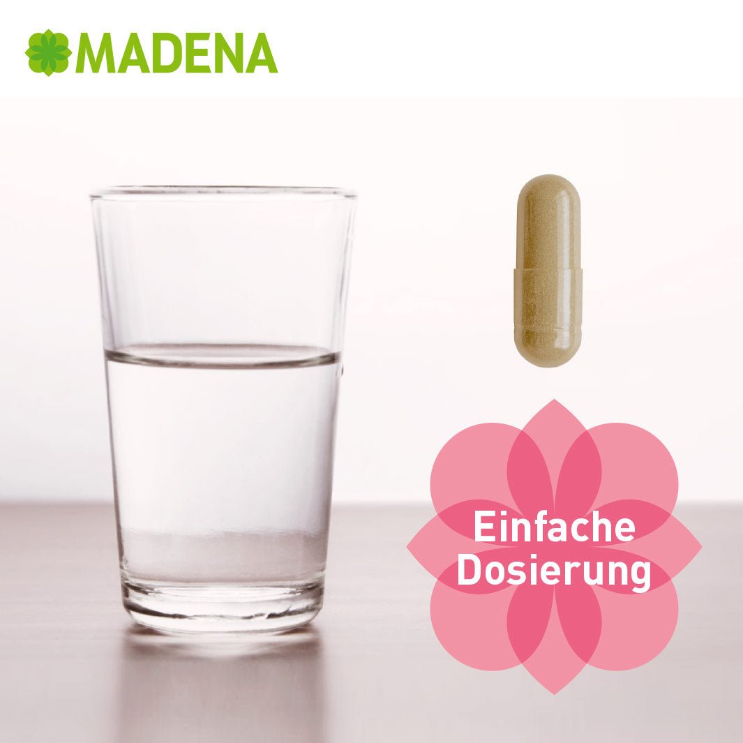 Milchsäurebakterien-Komplex: Hochdosiert für Intimflora & Harnwege*