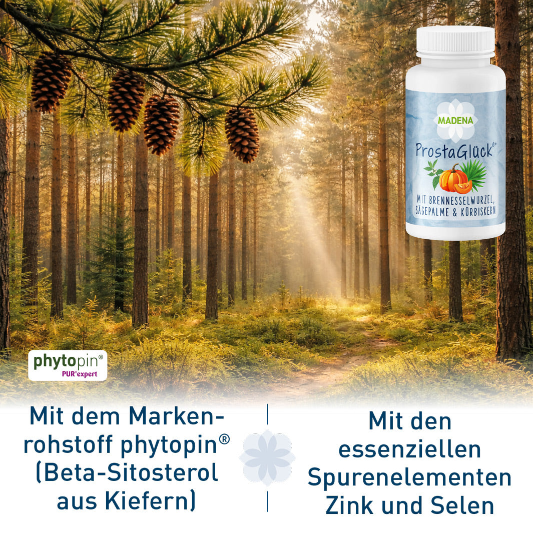Prostata-Komplex: ProstaGlück®*