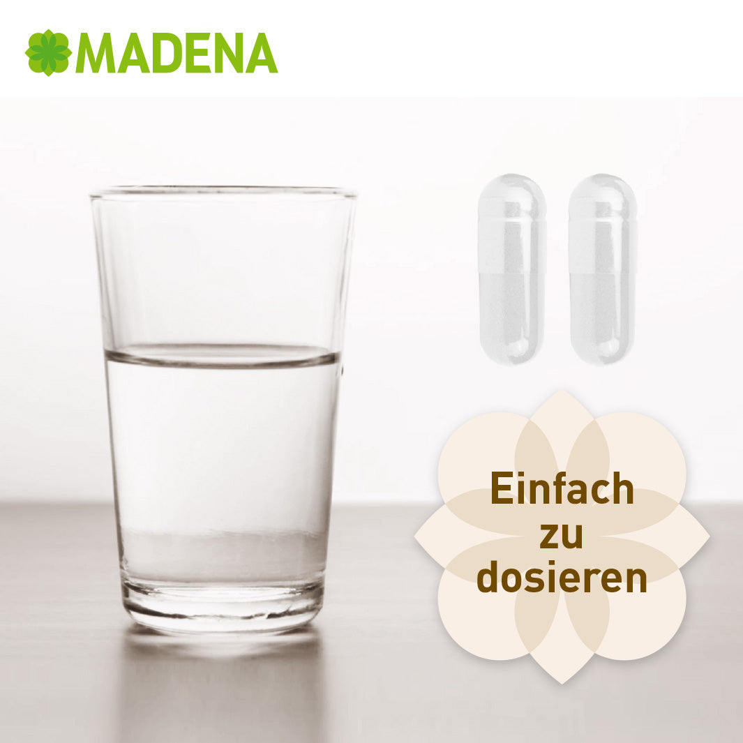 SIBO-Darmkur: SiboEx®