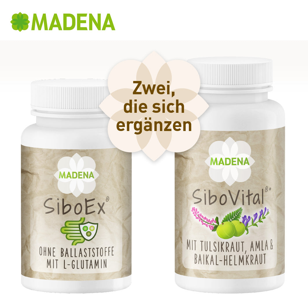 Dünndarmfehlbesiedelung