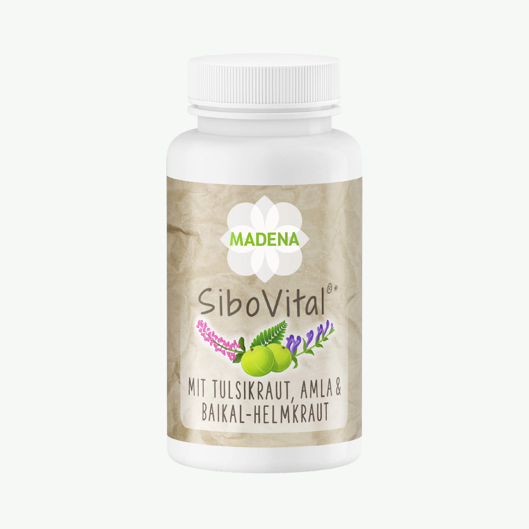 SIBO Therapie