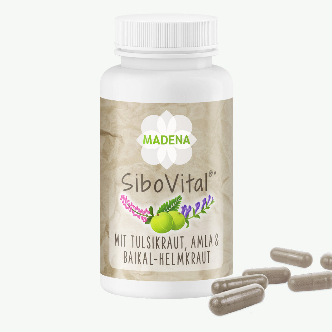 SIBO-Behandlung