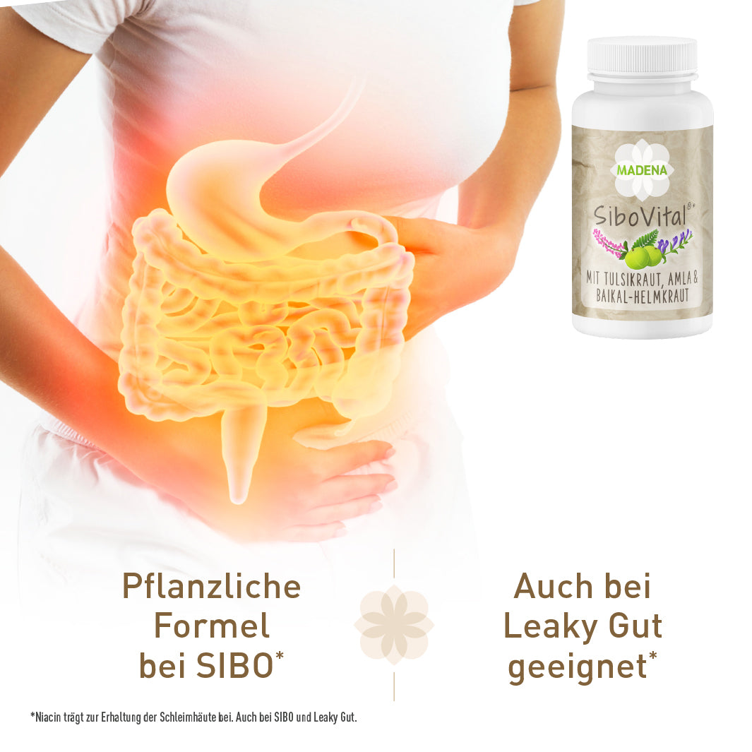 SiboVital®: Besonderer Pflanzenkomplex
