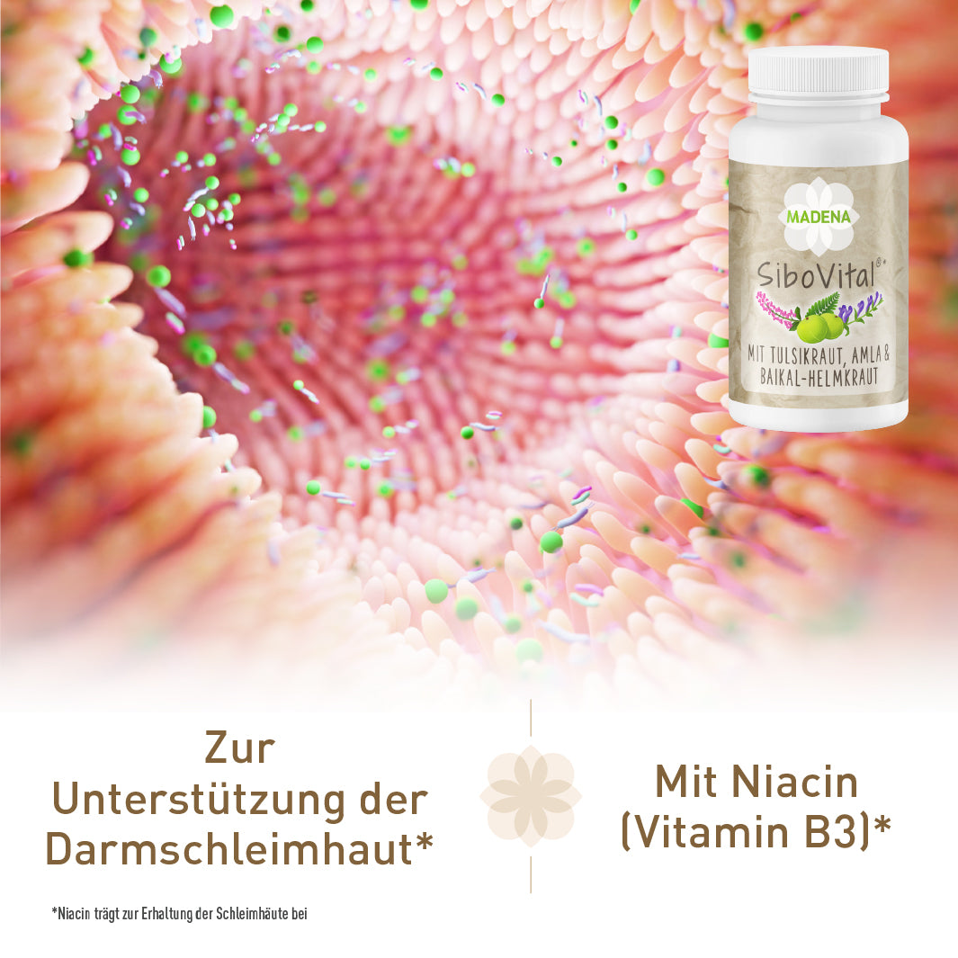 SiboVital®: Besonderer Pflanzenkomplex