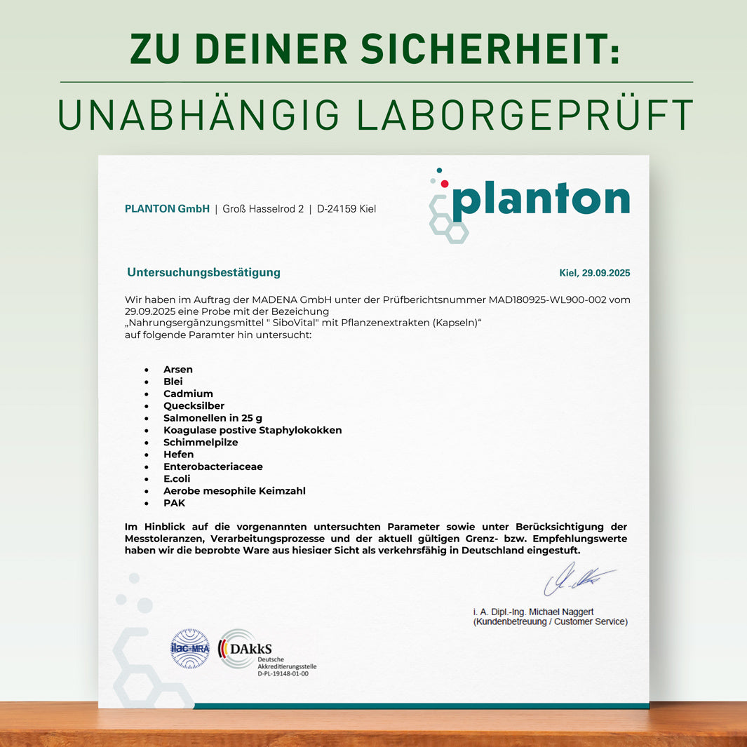 SiboVital®: Besonderer Pflanzenkomplex