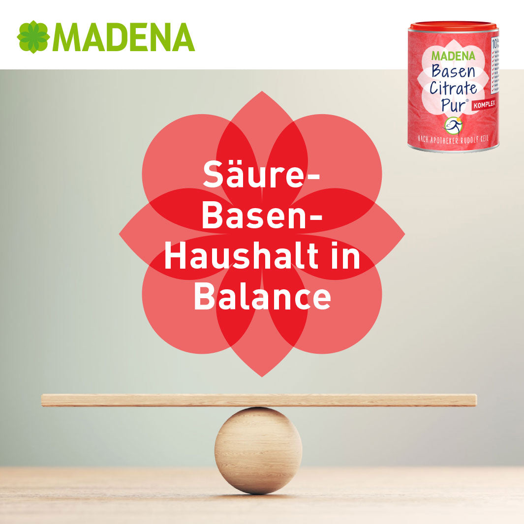 Basenpulver BasenCitrate Pur Komplex