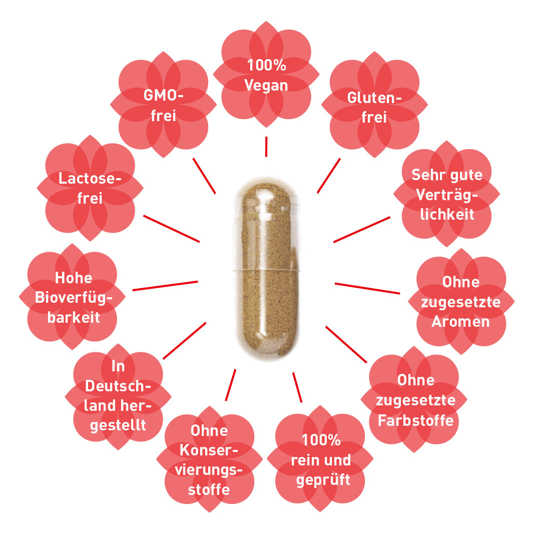 Eisen-Vitamin C Kapseln bei Eisenmangel