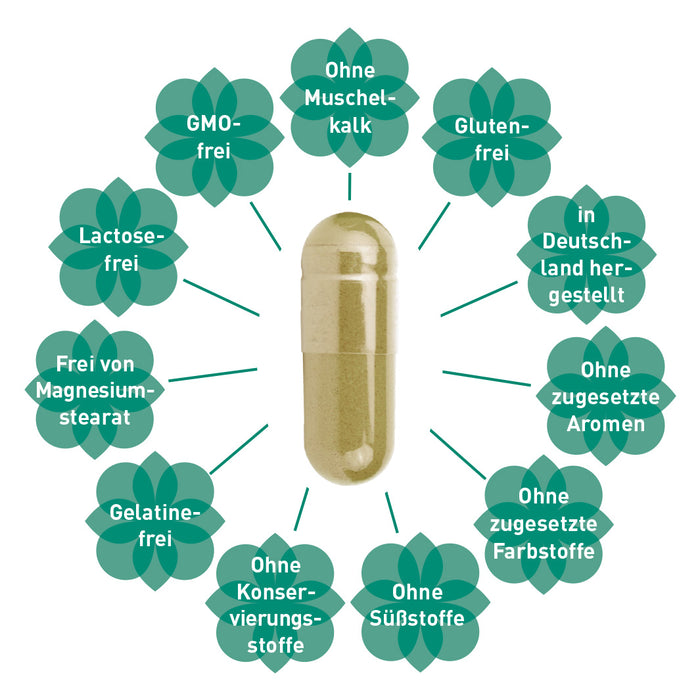 Grünlippmuschel Pulver