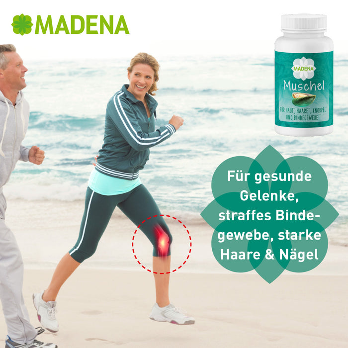 Grünlippmuschel Wirkung