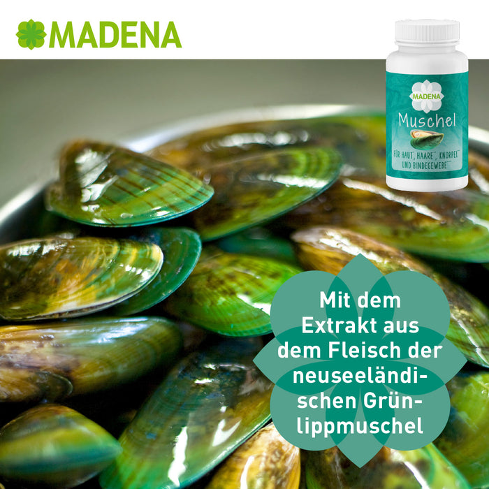 Grünlippmuschelextrakt