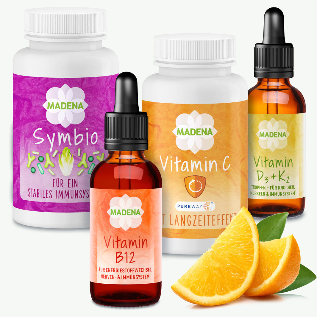 immunsystem aufbauen