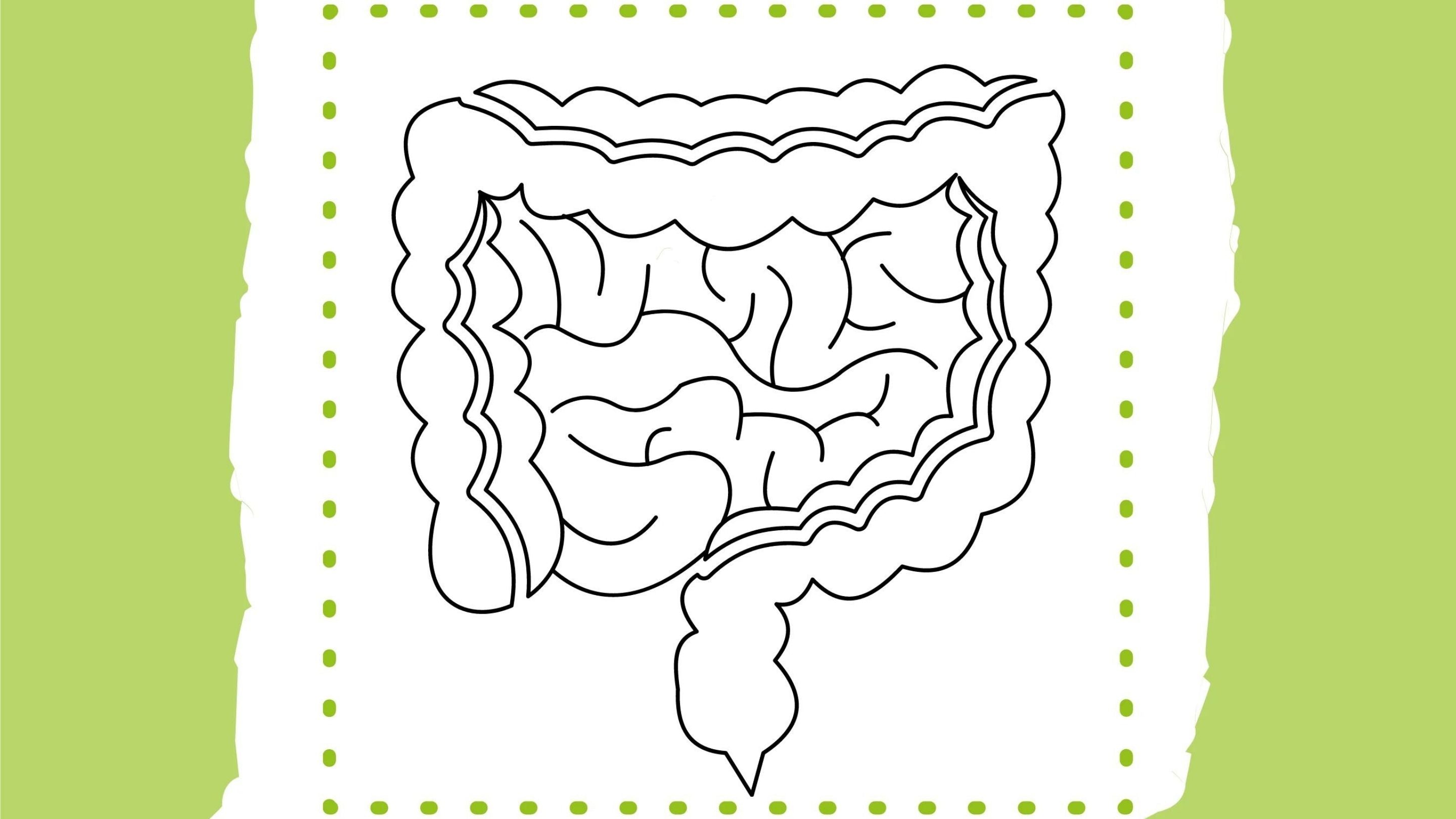 Probiotika: Warum sie eine Vielfalt an Keimen liefern sollten