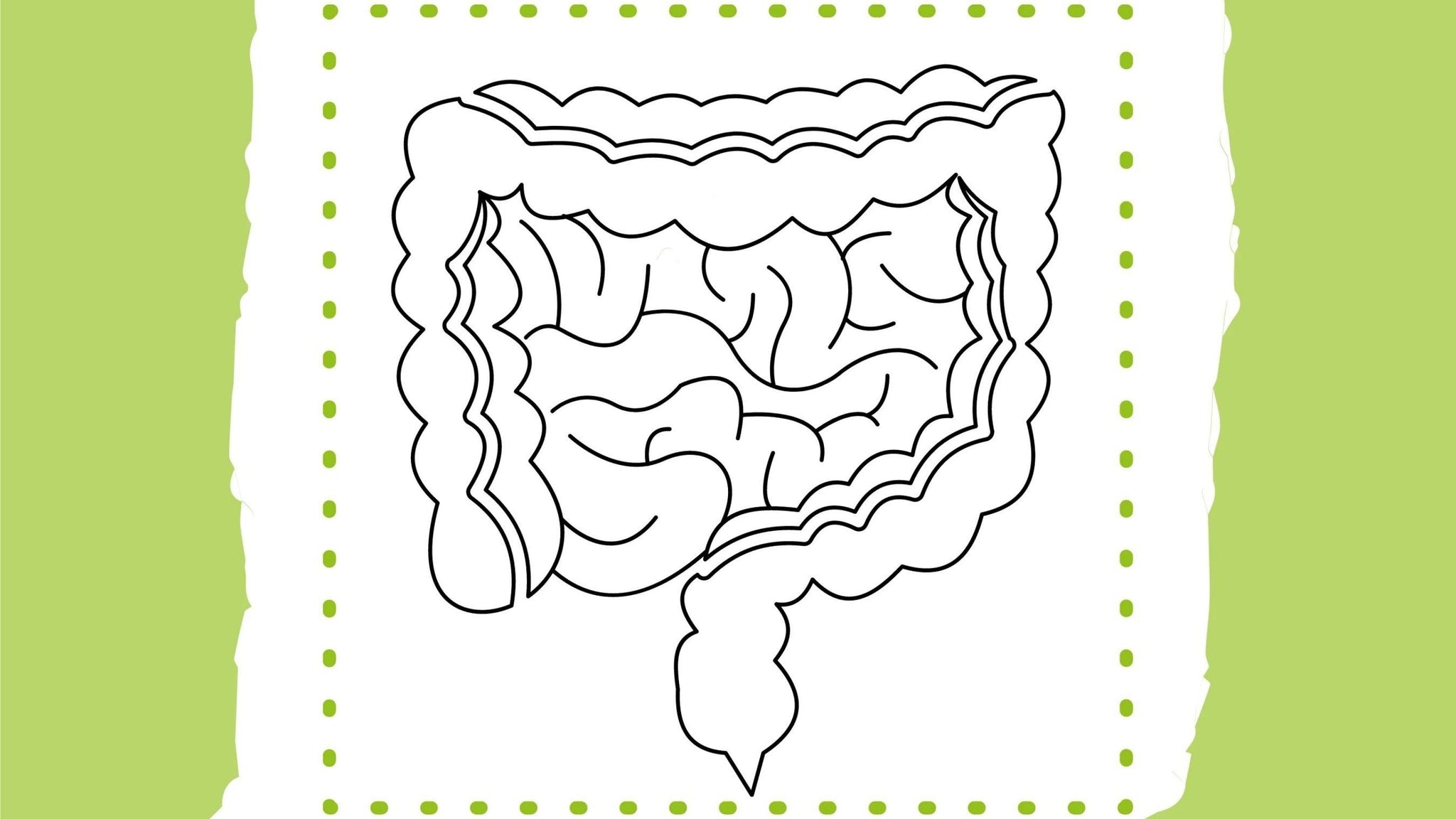Warum Probiotika eine Vielfalt an Keimen liefern sollten