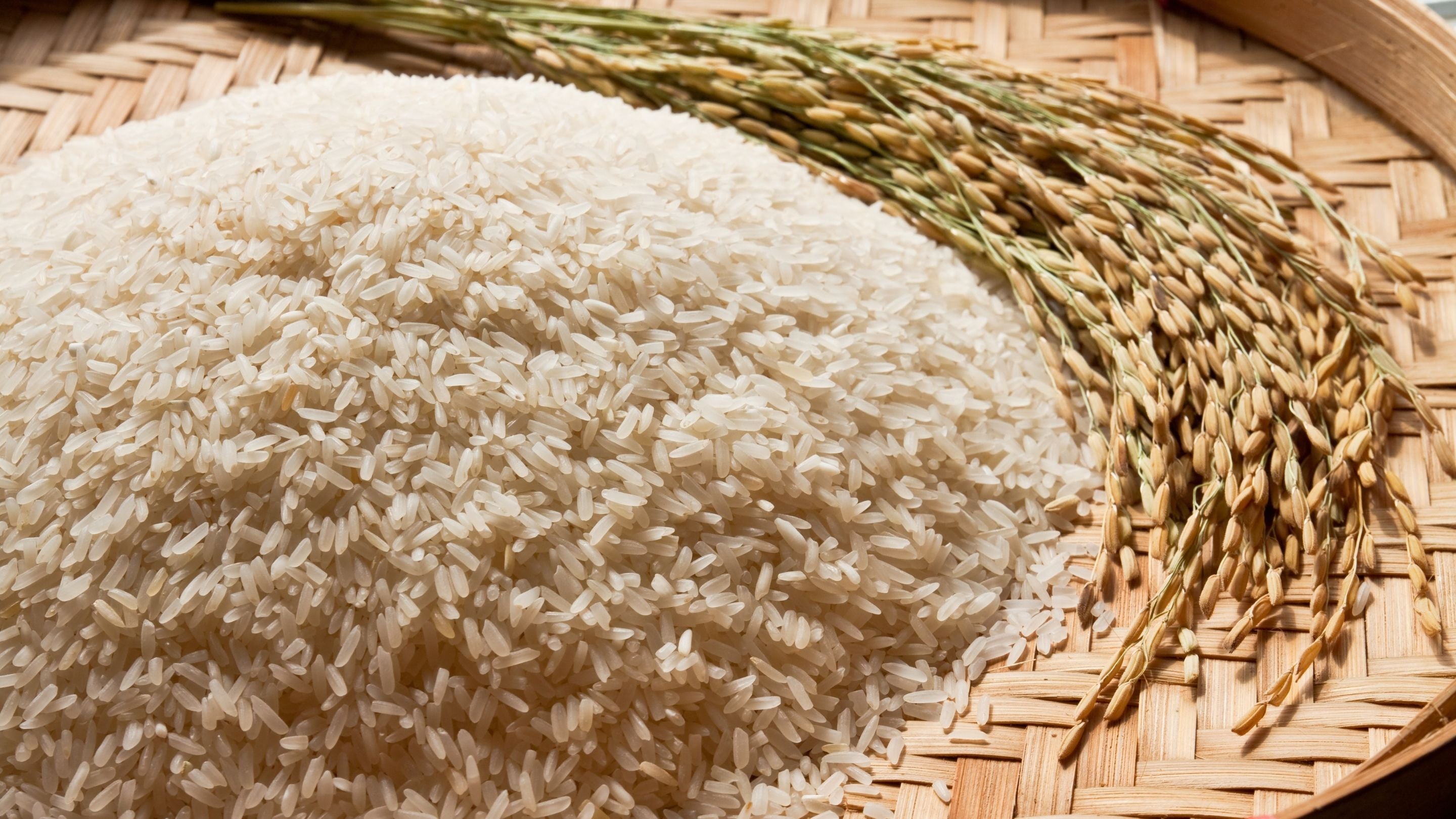Reisprotein: Biologische Wertigkeit, Auswahl & Anwendung