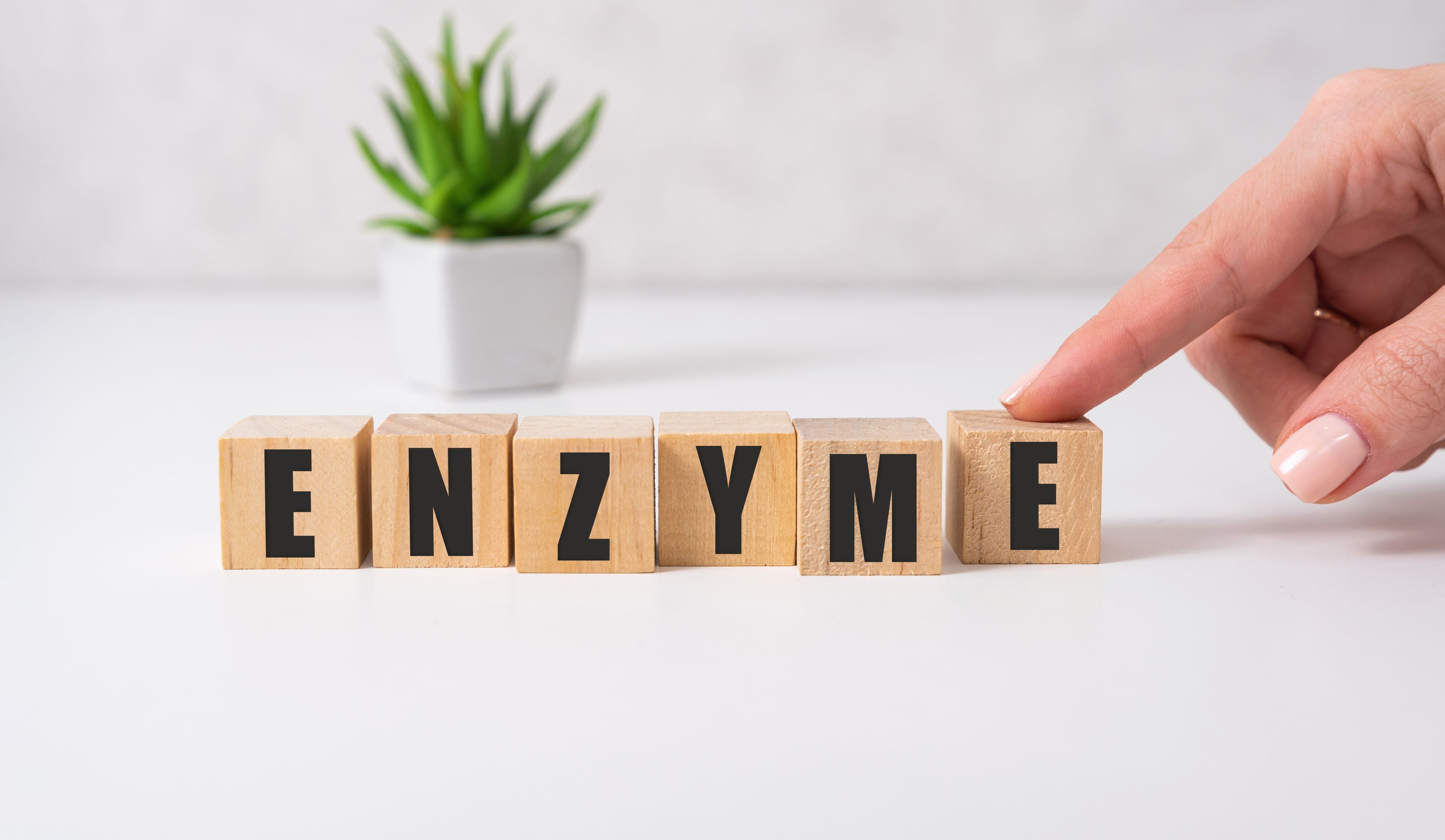 Enzymaufbau: So gleichst du einen Enzymmangel aus