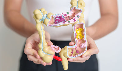 Reizdarm behandeln: Ursachen, Symptome & was hilft