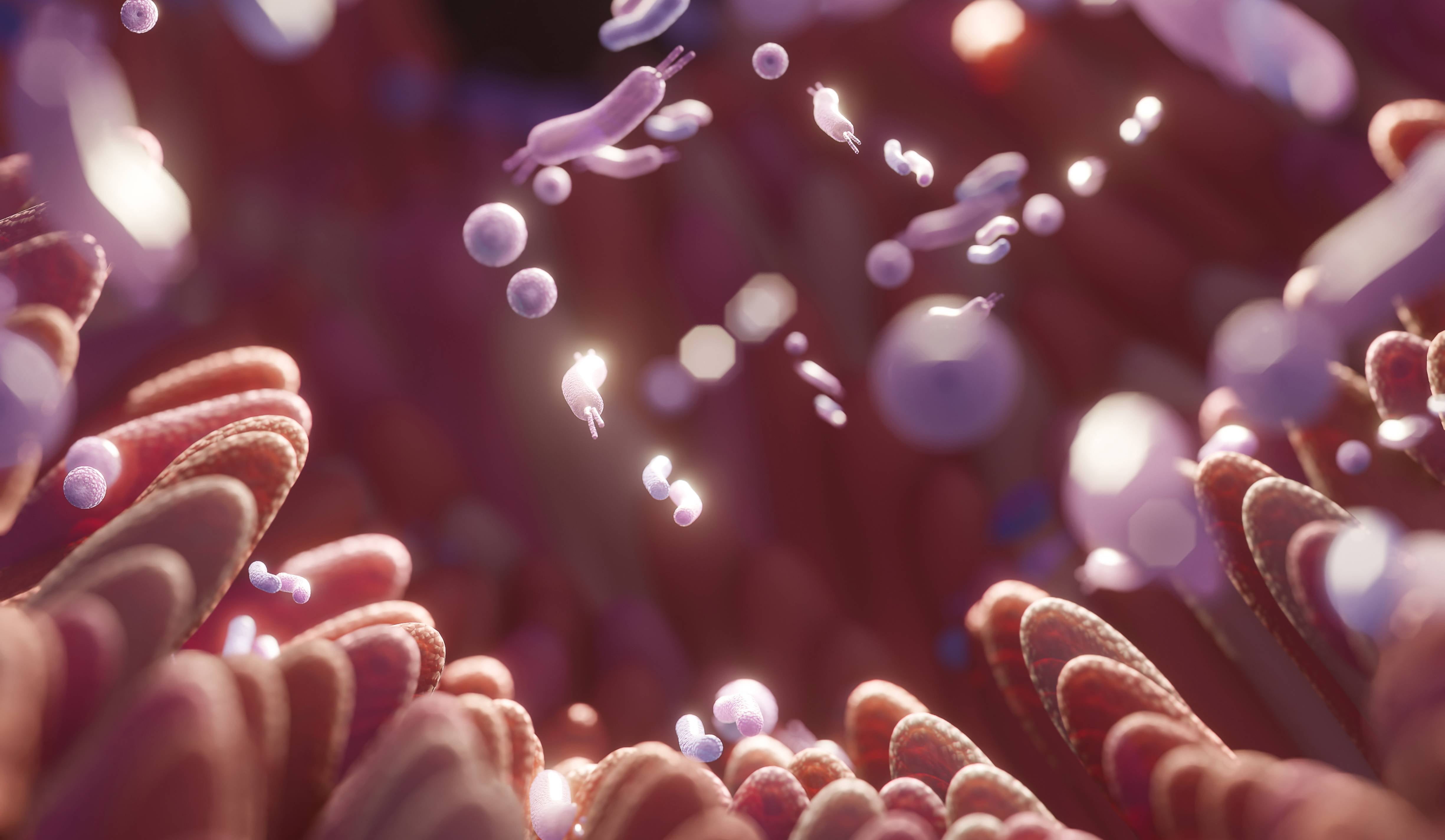 SIBO-Behandlung: Dünndarmfehlbesiedlung natürlich behandeln