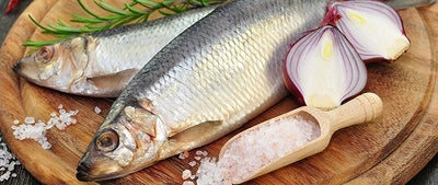 Basenpulver-Bestandteil Vitamin D3: Vorteile & Tagesbedarf
