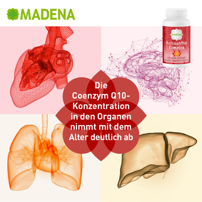 Lutein & Zeaxanthin: Astaxanthin-Komplex