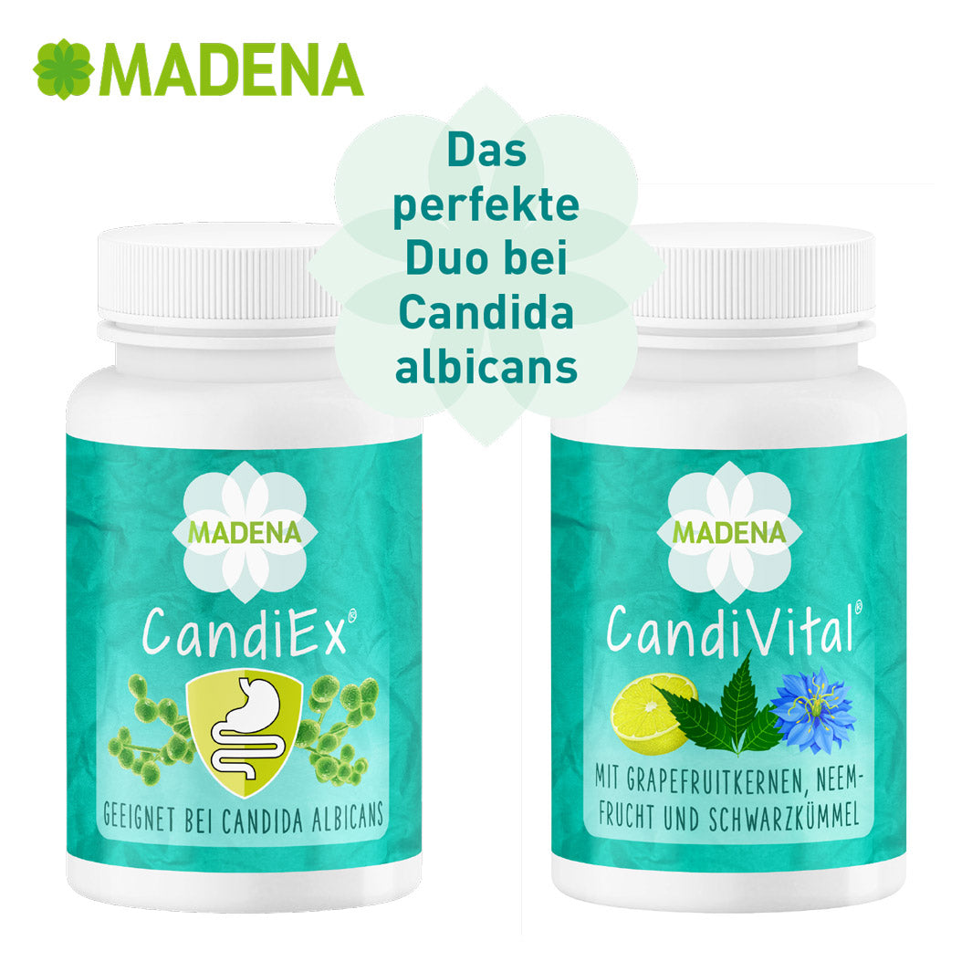 Darmflorakomplex bei Candida Albicans: CandiEx®