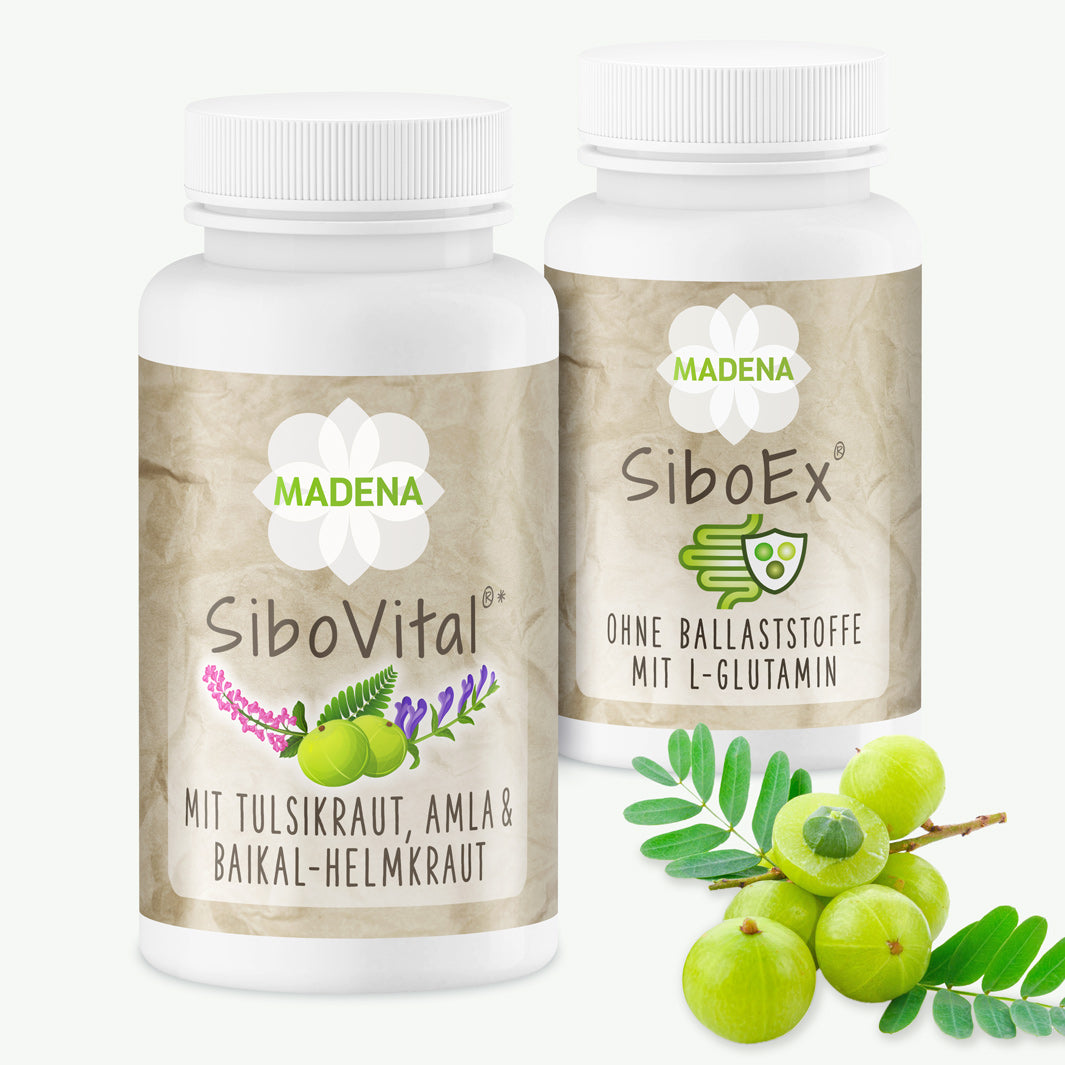 SIBO-Duo-Paket