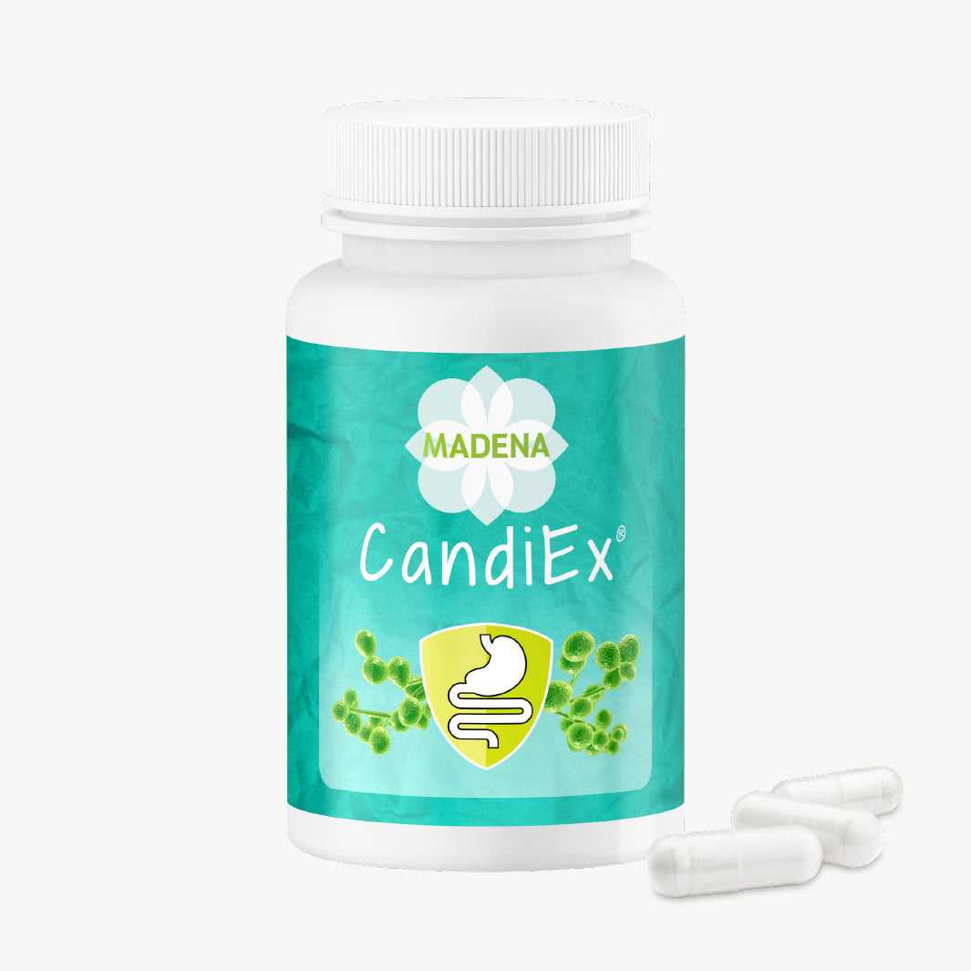 Darmflorakomplex CandiEx®