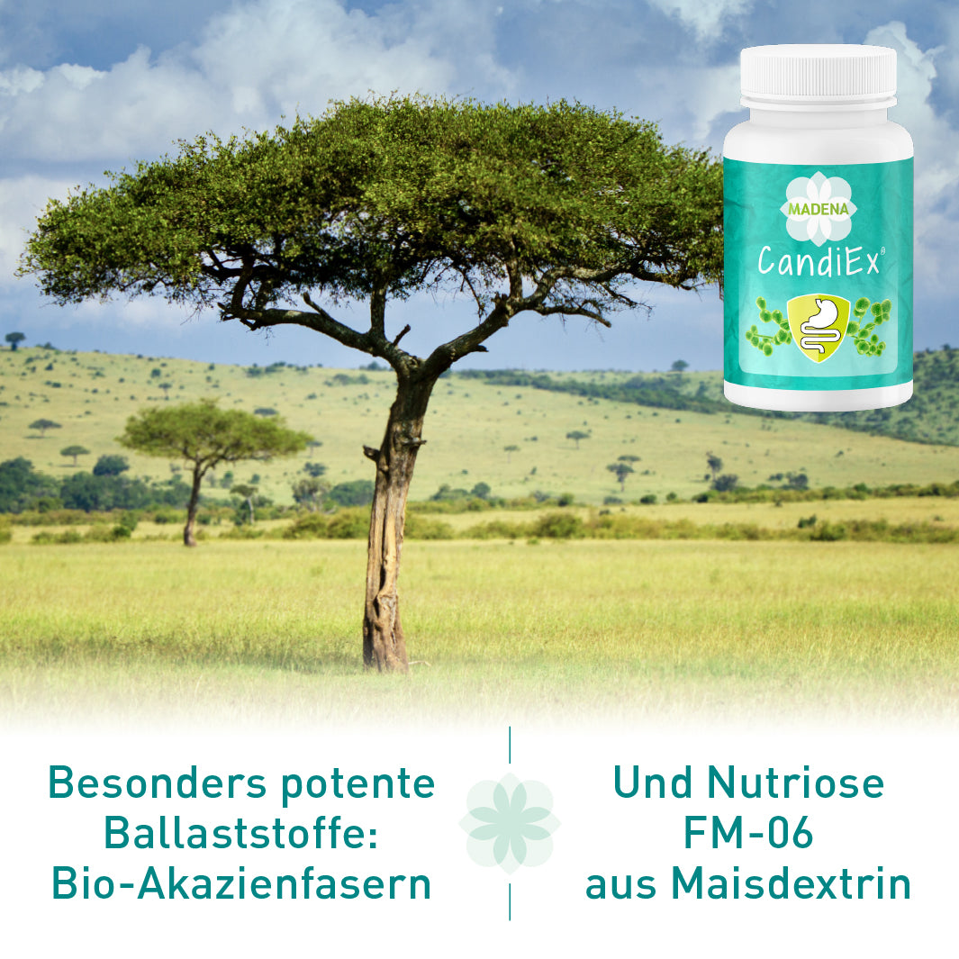 MADENA Candi-Paket*