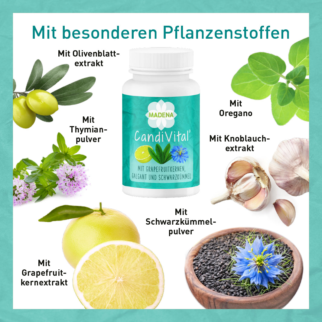 MADENA Candi-Paket*