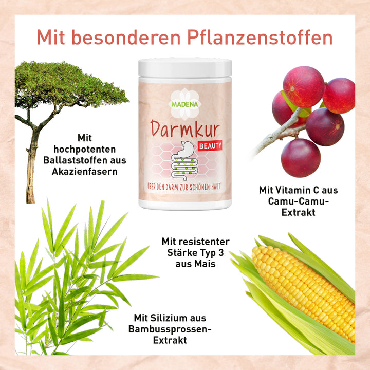 Darmkur für die Haut*