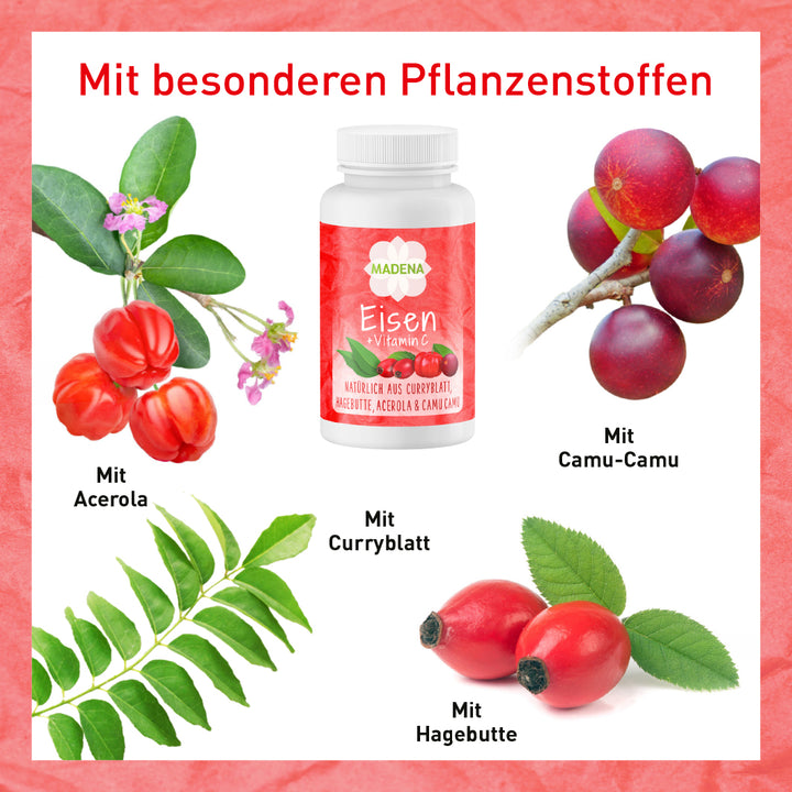 Eisen-Vitamin C Kapseln bei Eisenmangel