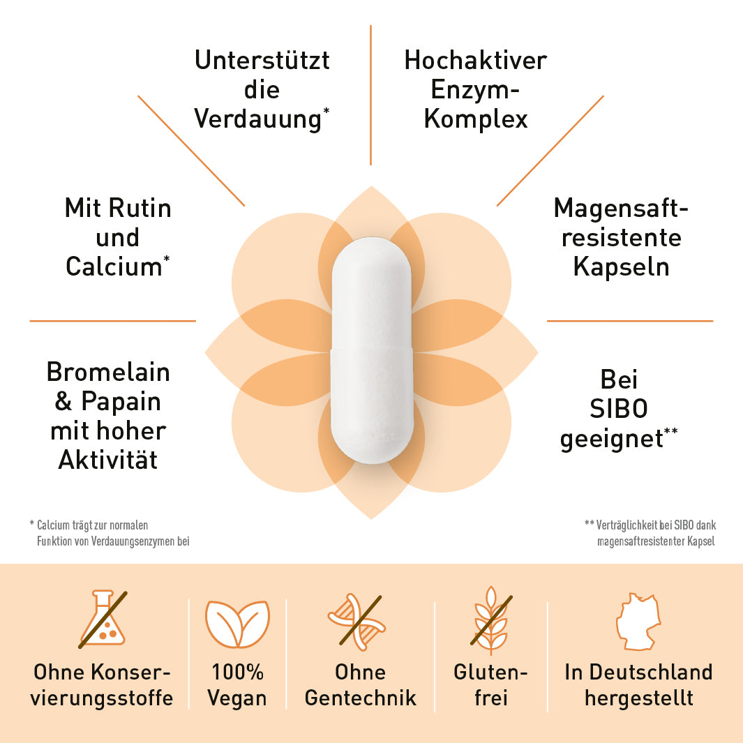enzyme aufbau