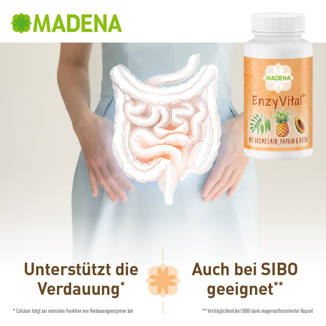 SIBO-Komplett-Paket