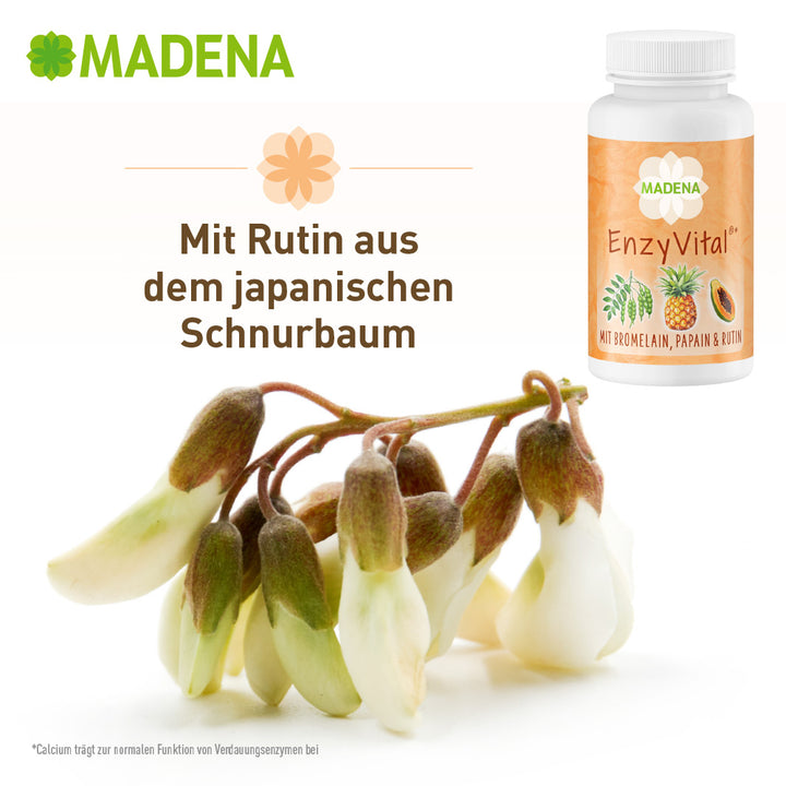 SIBO-Komplett-Paket