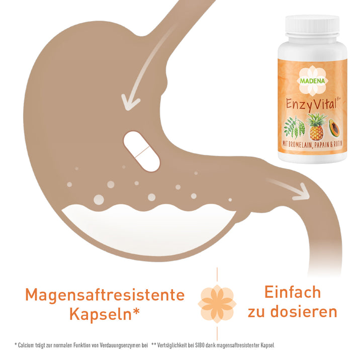 Enzym-Komplex mit besonders hoher Enzymaktivität